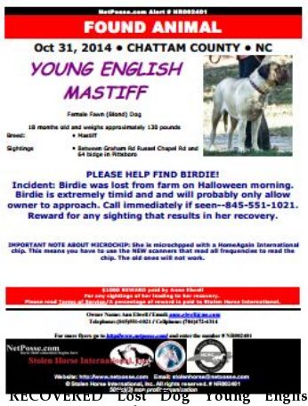 RECOVERED Lost Dog Young English Mastiff, Near Pittsboro, NC, 27312